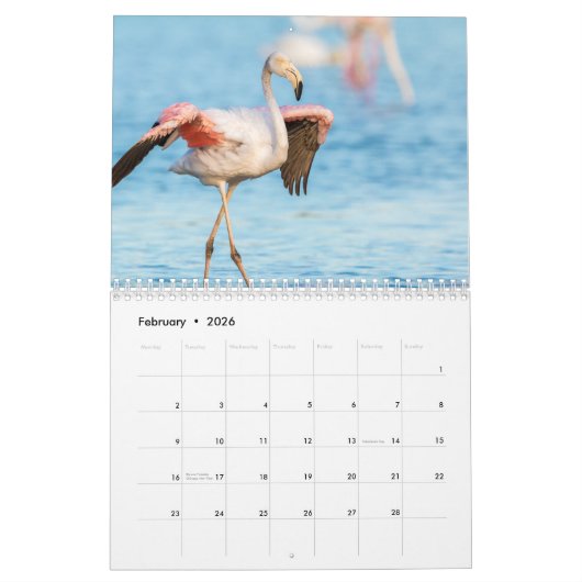 Flamingo Kalender 2025 (Feb 2026)