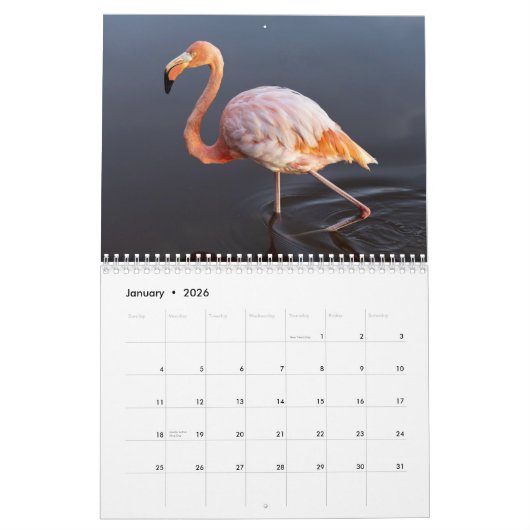 Flamingo Kalender 2025 (Jan 2026)