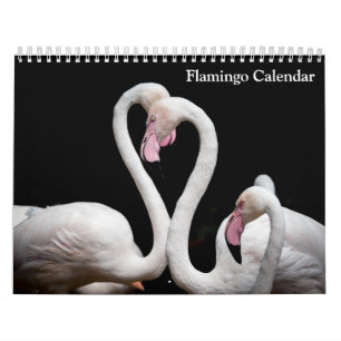 Flamingo Kalender 2025