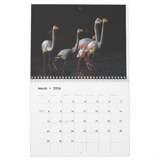 Flamingo Kalender 2025 (Mar 2026)