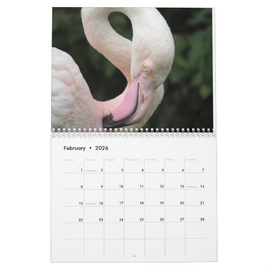 Flamingo Kalender 2025 (Feb 2026)