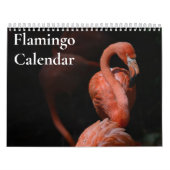 Flamingo Kalender 2025 (Hoes)