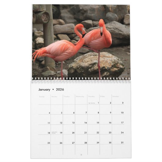 Flamingo Kalender 2025 (Jan 2026)