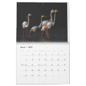 Flamingo Kalender 2025 (Mar 2027)