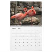 Flamingo Kalender 2025 (Jan 2027)