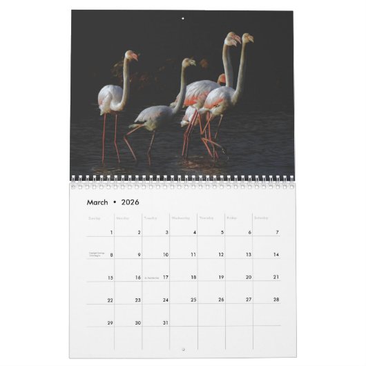 Flamingo Kalender 2025 (Mar 2026)