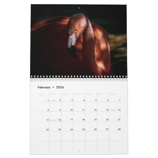 Flamingo Kalender 2025 (Feb 2026)