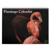Flamingo Kalender 2025 (Hoes)