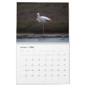 Flamingo Kalender 2025 (Jan 2026)