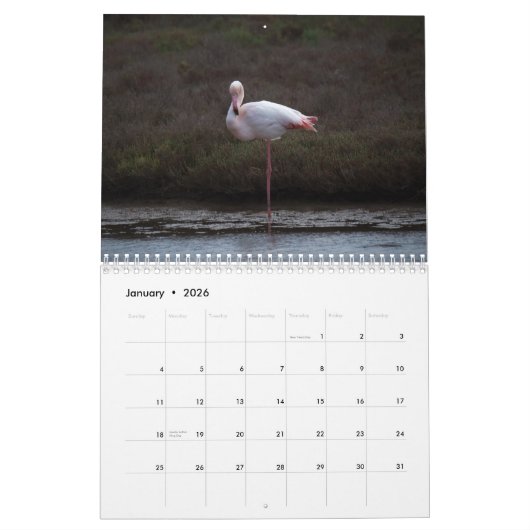 Flamingo Kalender 2025 (Jan 2026)