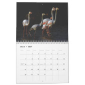 Flamingo Kalender 2025 (Mar 2027)