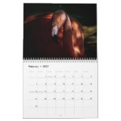 Flamingo Kalender 2025 (Feb 2027)