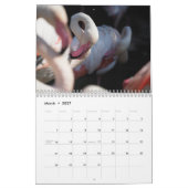Flamingo Kalender 2027 (Mar 2027)