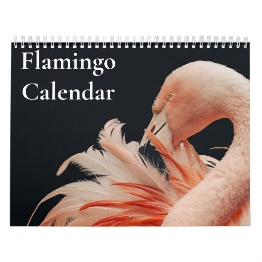 Flamingo Kalender 2027 (Hoes)