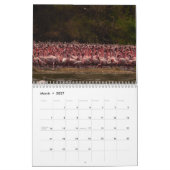 Flamingo Kalender 2027 (Mar 2027)