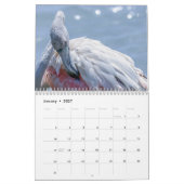 Flamingo Kalender 2027 (Jan 2027)