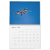 Flamingo Kalender 2027 (Feb 2027)