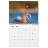 Flamingo Kalender 2027 (Mar 2027)