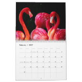Flamingo Kalender 2027 (Feb 2027)