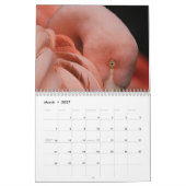 Flamingo Kalender 2027 (Mar 2027)