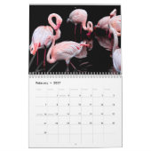Flamingo Kalender 2027 (Feb 2027)
