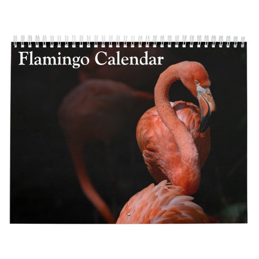 Flamingo Kalender 2027 (Hoes)