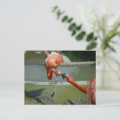Flamingo Kiss Briefkaart (Staand voorkant)