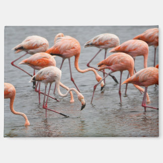 Flamingo Koelkastmagneet Magneet