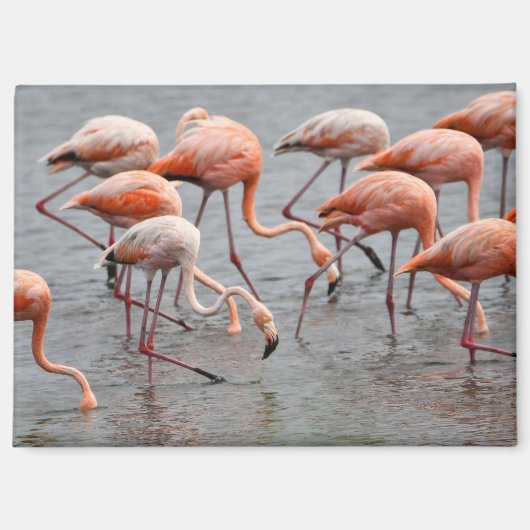 Flamingo Koelkastmagneet Magneet (Voorkant)
