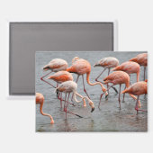Flamingo Koelkastmagneet Magneet (Voorkant / Achterkant)