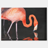 Flamingo koelkastmagneet magneet (Voorkant)