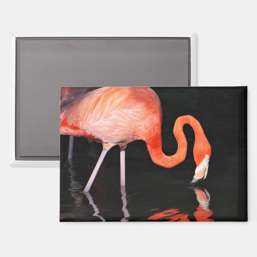 Flamingo koelkastmagneet magneet (Voorkant / Achterkant)