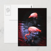 FLAMINGO-kopie Briefkaart (Voorkant / Achterkant)
