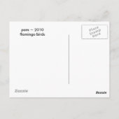 Flamingo Lake Briefkaart (Achterkant)