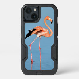 Flamingo Lake Walk | Vogels