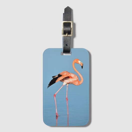 Flamingo Lake Walk | Vogels Bagagelabel (Voorkant (verticaal))
