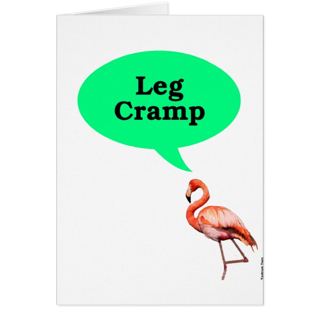 Flamingo Leg Cramp (Voorkant)