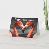 Flamingo Liefde Lege Verjaardagskaart Groet