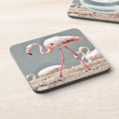 Flamingo loopt over de grond drankjes onderzetter (Linkerzijde)