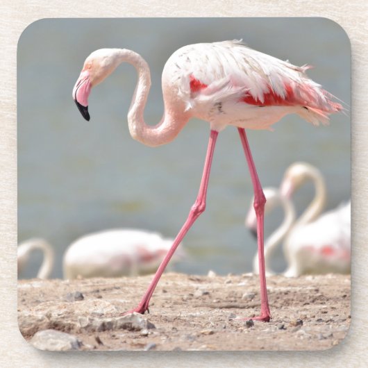 Flamingo loopt over de grond drankjes onderzetter (Voorkant)