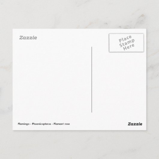 Flamingo loopt vlakbij vijver briefkaart (Achterkant)