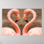 Flamingo Love Poster (Voorkant)