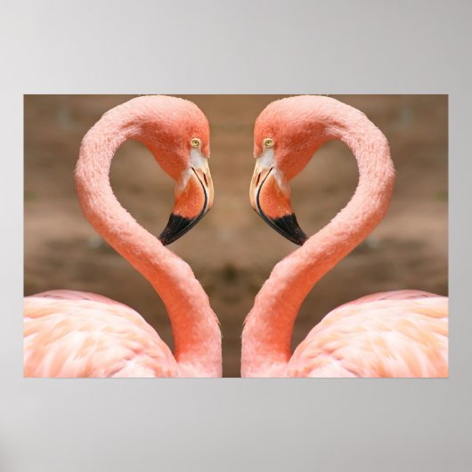 Flamingo Love Poster (Voorkant)