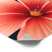 Flamingo Love Tropical Art Poster (Hoek)