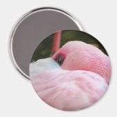 Flamingo Magneet (Voorkant / Achterkant)