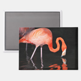 Flamingo Magneet