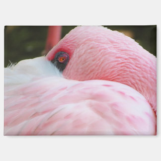 Flamingo Magneet