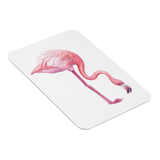 Flamingo Magneet (Rechterzijde)