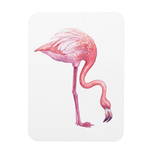 Flamingo Magneet (Verticaal)