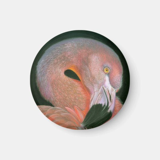 Flamingo  magneet (Voorkant)